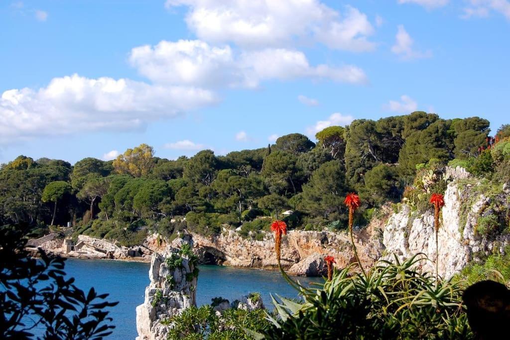 Ravissant Studio Au Coeur Du Vieil Antibes Buitenkant foto